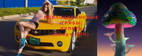 эйфоретик Арсеньев