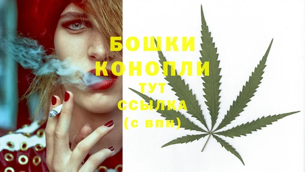 бошки Аркадак
